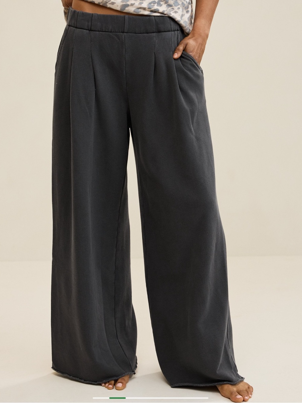 NWT Aerie Street Trouser High Rise Smoked Gray Size XL Short